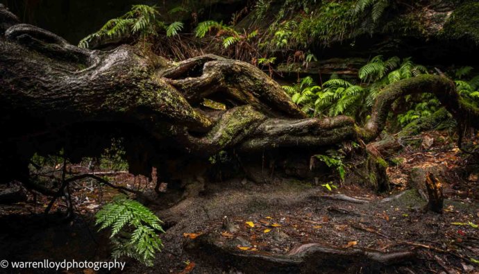 Australian Landscapes