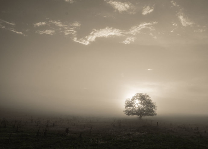 Australian Landscapes