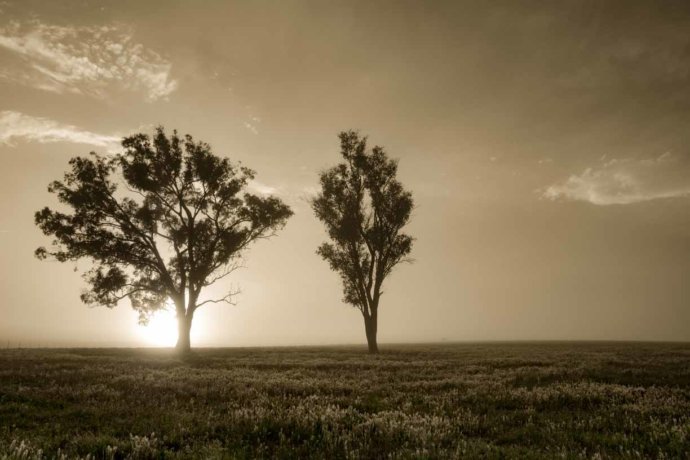 Australian landscapes