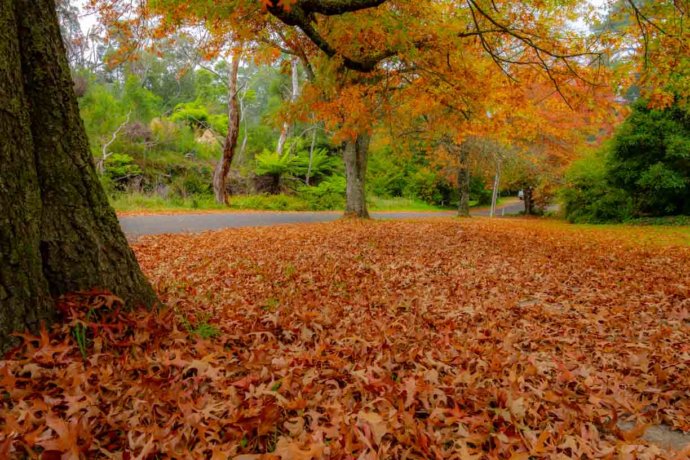 Australian Landscapes