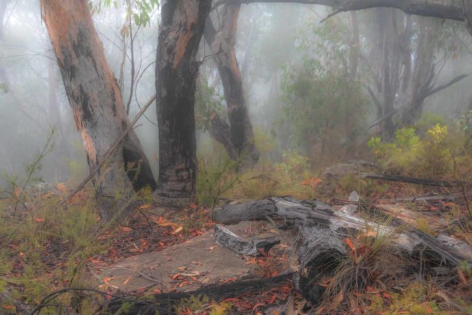 Australian Landscapes