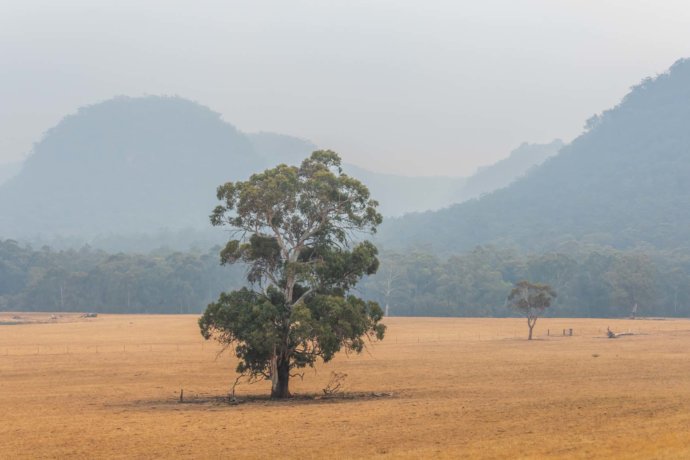 Australian Landscapes