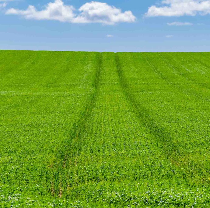 Australian Landscapes