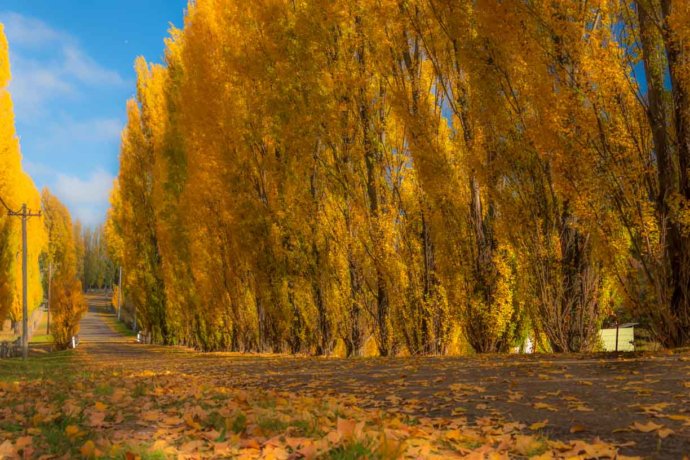 Australian Landscapes