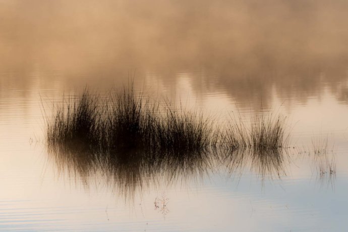 Australian Landscapes