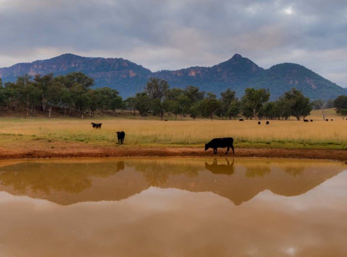 Australian Landscapes