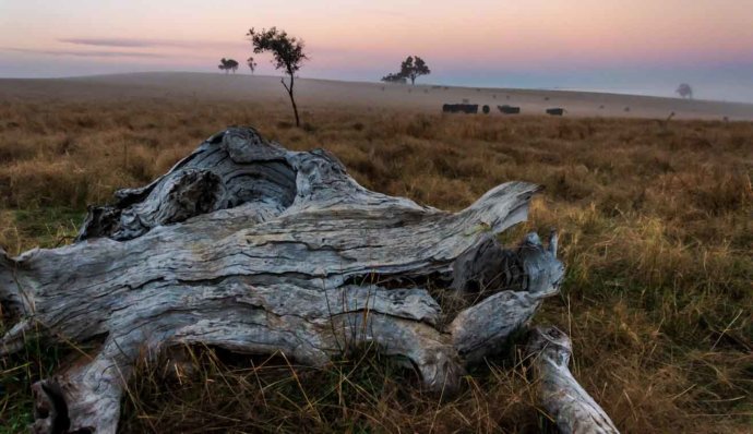 Australian Landscapes