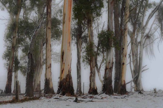 Australian Landscapes