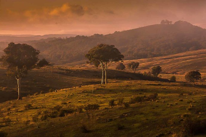 Australian landscapes