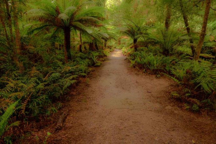 Australian Landscapes