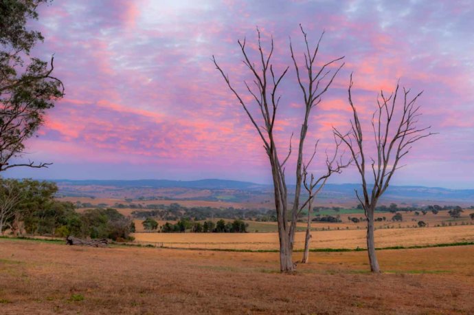 Australian landscapes