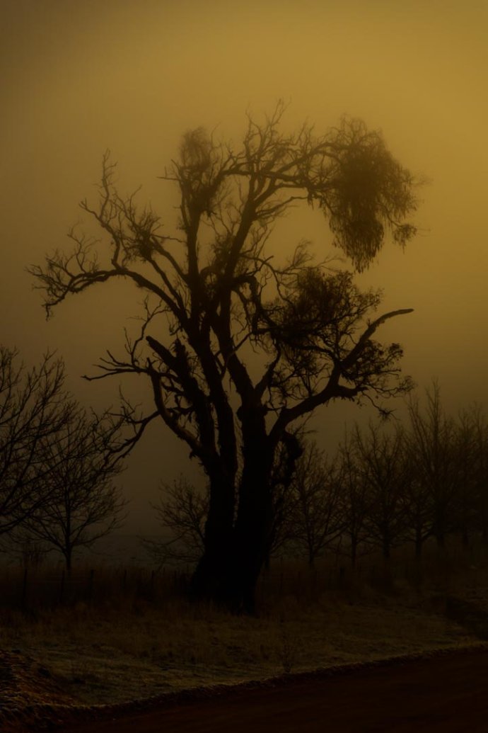 Australian Landscapes