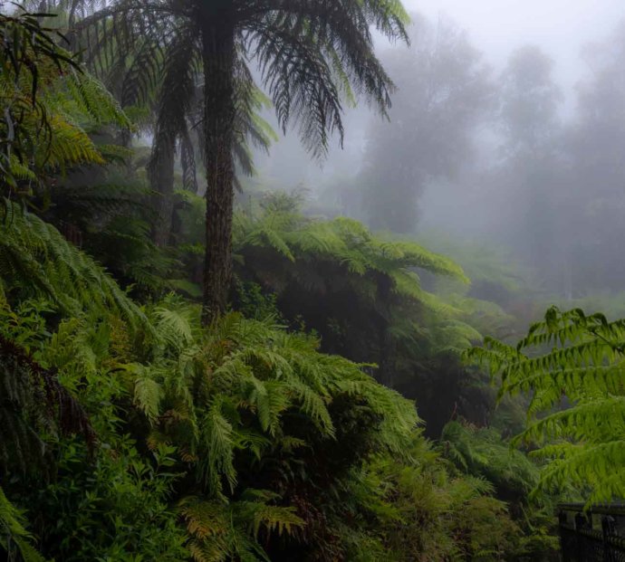 Australian Landscapes