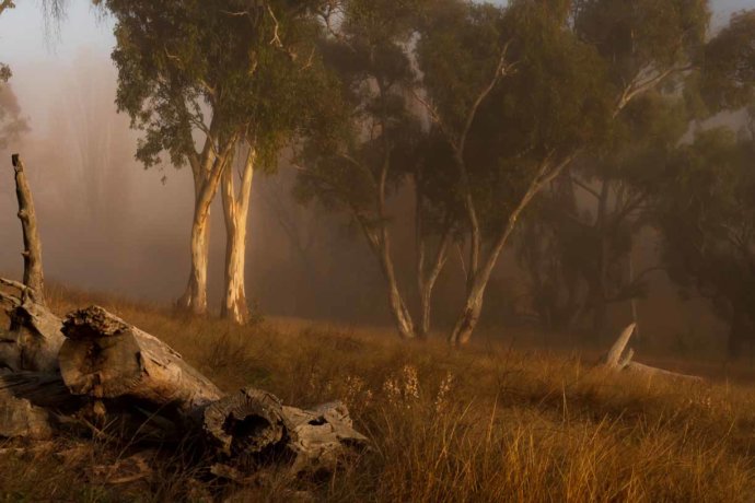 Australian Landscapes