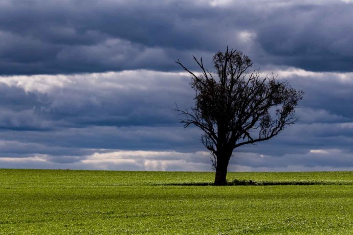 Australian Landscapes