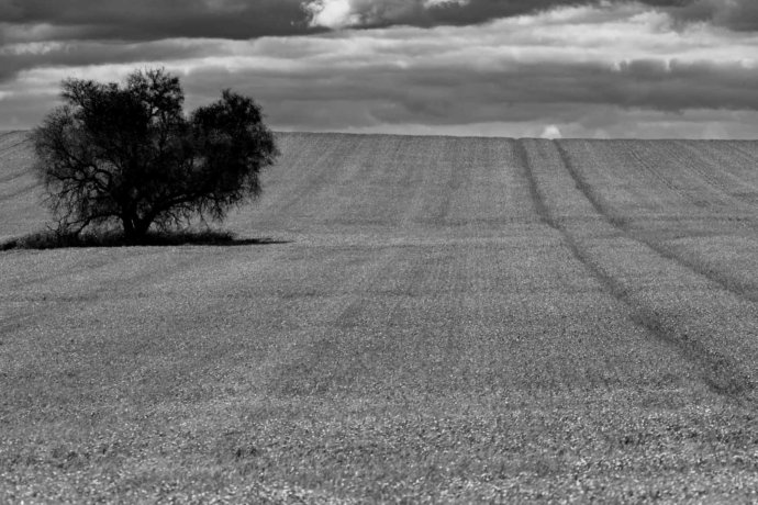 Australian Landscapes