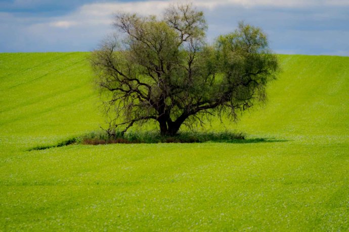 Australian Landscapes