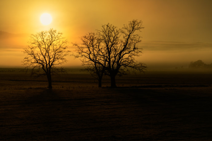 Australian Landscapes