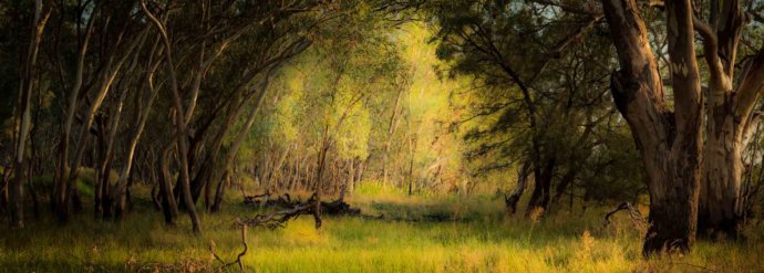 Australian Landscapes