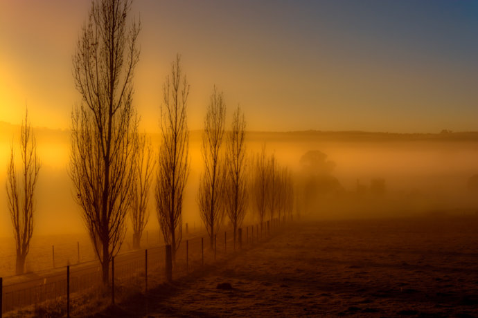 Australian Landscapes