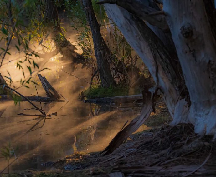 Australian Landscapes