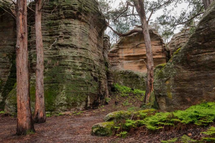 Australian Landscapes