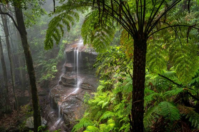 Australian Landscapes